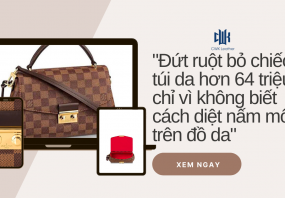 Đứt ruột bỏ chiếc túi da hơn 64 triệu chỉ vì không biết cách diệt nấm mốc trên đồ da