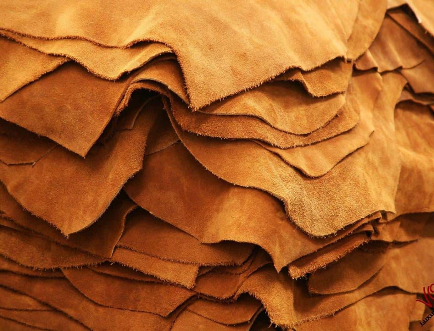Suede Leather ( Da Lộn) – Khi Vẻ Đẹp Mộc Mạc Trở Thành Biểu Tượng Thời Trang