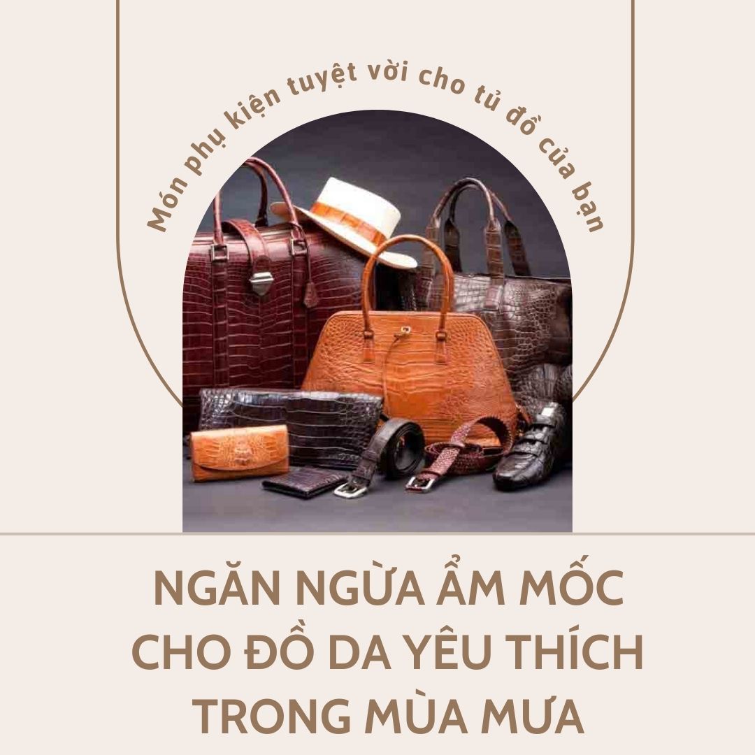 Ngăn Ngừa Ẩm Mốc Cho Đồ Da Yêu Thích Trong Mùa Mưa