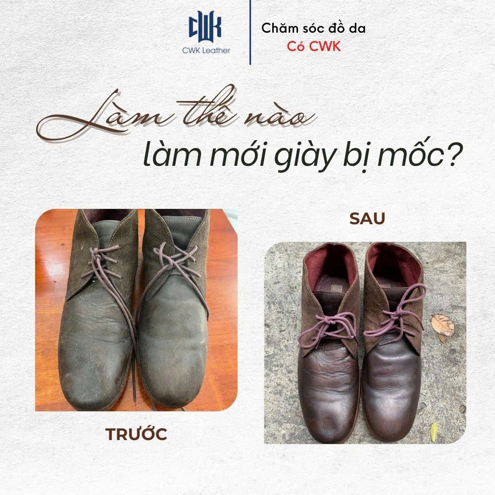 Giày Da Để Trong Tủ Vẫn Bị Mốc – Vì Sao Và Cách Khắc Phục?